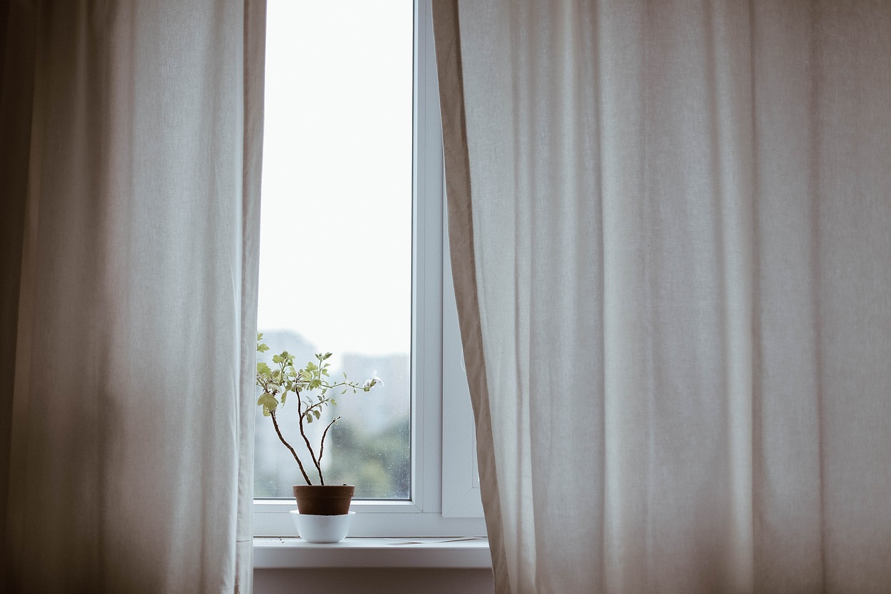 Fenêtre ouverte avec des rideaux blancs laissant entrer une lumière douce, une petite plante posée sur le rebord, créant une ambiance calme et apaisante.