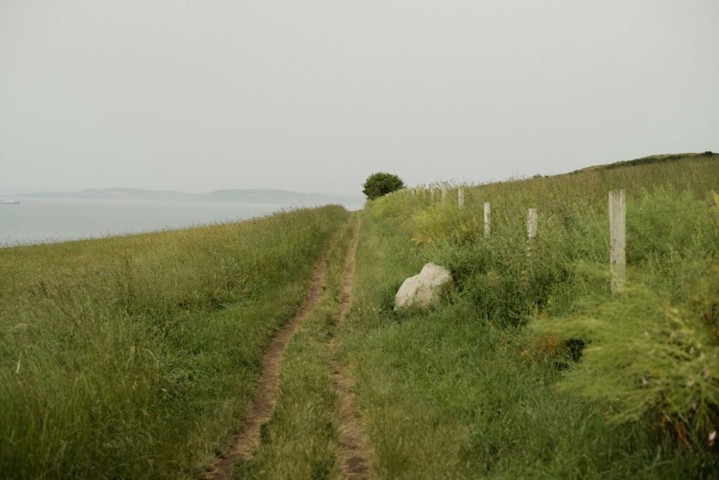 Tranquil rural path leading through green fields towards a misty horizon.